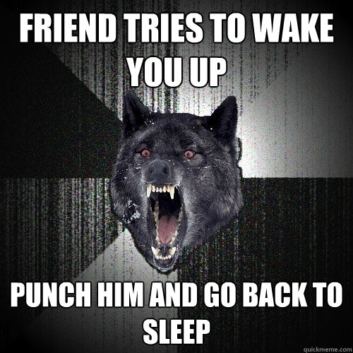 friend tries to wake you up punch him and go back to sleep  Insanity Wolf