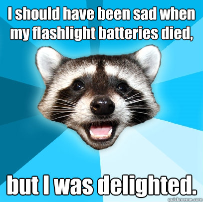 I should have been sad when my flashlight batteries died, but I was delighted. - I should have been sad when my flashlight batteries died, but I was delighted.  Lame Pun Coon