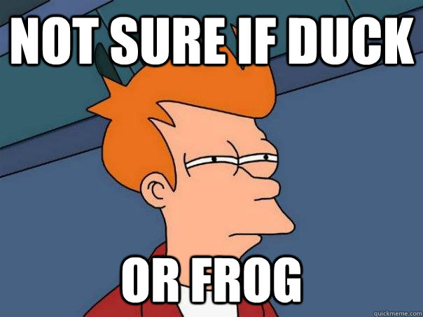 NOT SURE IF DUCK OR FROG  Futurama Fry