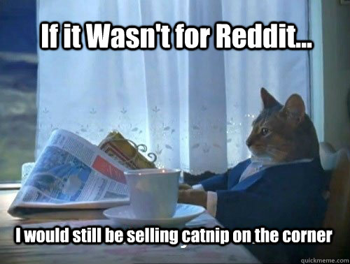 If it Wasn't for Reddit... I would still be selling catnip on the corner - If it Wasn't for Reddit... I would still be selling catnip on the corner  Fancy Cat