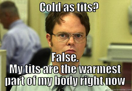                    COLD AS TITS?                     FALSE. MY TITS ARE THE WARMEST PART OF MY BODY RIGHT NOW Schrute