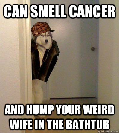 CAN SMELL CANCER AND HUMP YOUR WEIRD WIFE IN THE BATHTUB   Scumbag dog