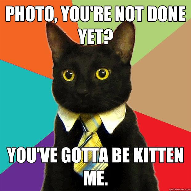 photo, you're not done yet? you've gotta be kitten me.  Business Cat