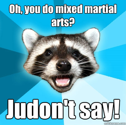 Oh, you do mixed martial arts? Judon't say!  Lame Pun Coon