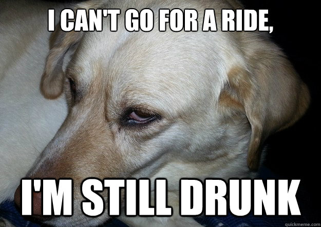 I can't go for a ride, I'm still drunk  