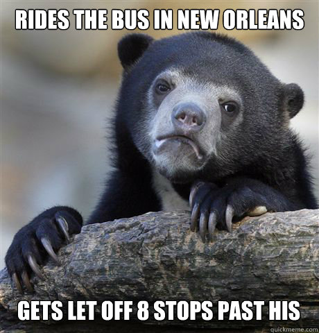 Rides the bus in New Orleans Gets let off 8 stops past his  Confession Bear