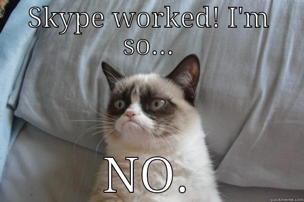 SKYPE WORKED! I'M SO... NO. Grumpy Cat