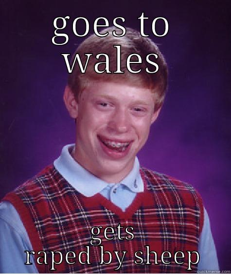 GOES TO WALES GETS RAPED BY SHEEP Bad Luck Brian