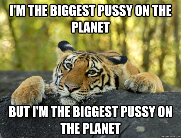 I'm the biggest pussy on the planet but I'm the biggest pussy on the planet  Confession Tiger