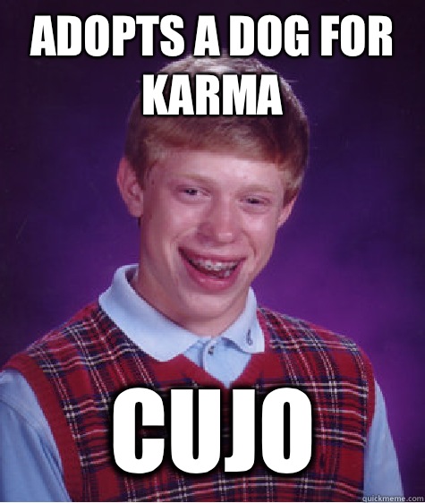 adopts a dog for karma cujo - adopts a dog for karma cujo  Bad Luck Brian