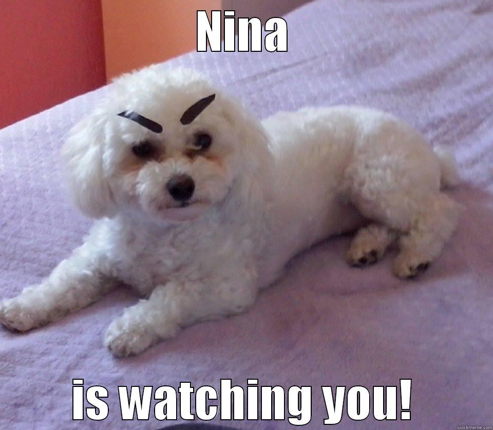 NINA IS WATCHING YOU! Misc