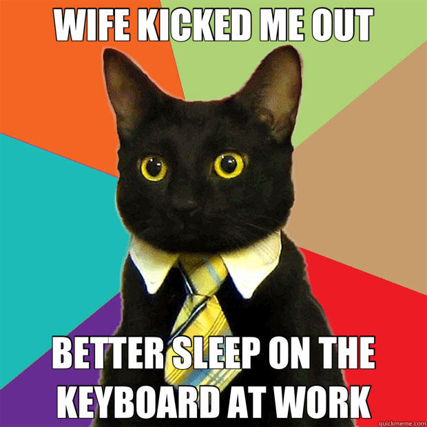 WIFE KICKED ME OUT BETTER SLEEP ON THE KEYBOARD AT WORK  Business Cat