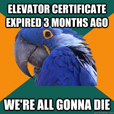 Elevator certificate expired 3 months ago We're all gonna die - Elevator certificate expired 3 months ago We're all gonna die  Paranoid Parrot