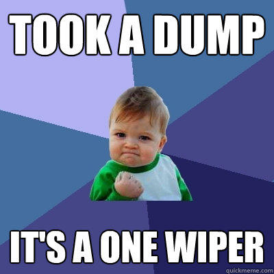 Took a dump It's a one wiper - Took a dump It's a one wiper  Success Kid