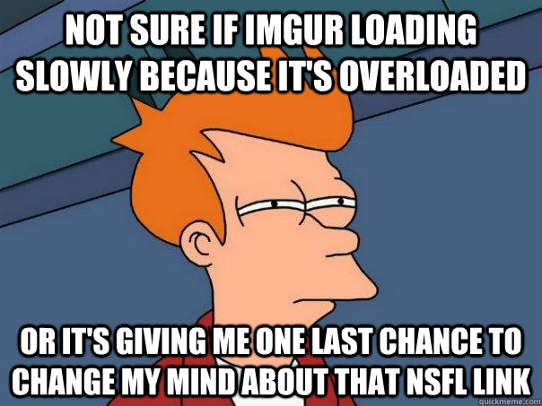 Not sure if Imgur loading slowly because it's overloaded or it's giving me one last chance to change my mind about that NSFL link  Futurama Fry