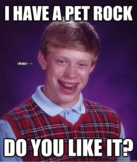 I have a pet rock Do you like it?  I'm ugly ---->  Bad Luck Brian