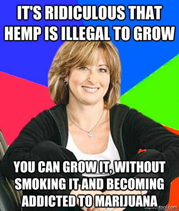 It's ridiculous that hemp is illegal to grow  You can grow it, without smoking it and becoming addicted to marijuana - It's ridiculous that hemp is illegal to grow  You can grow it, without smoking it and becoming addicted to marijuana  sheltered suburban mom