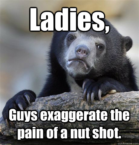 Ladies, Guys exaggerate the pain of a nut shot.  Confession Bear