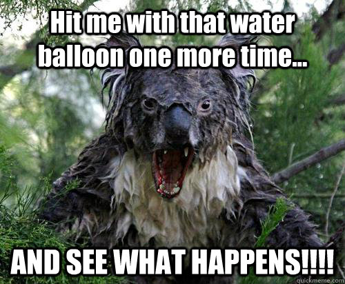 Hit me with that water balloon one more time... AND SEE WHAT HAPPENS!!!!  Angry Koala