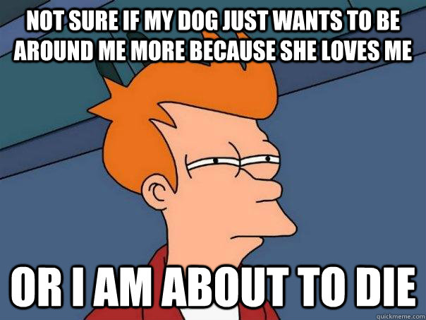 Not sure if my dog just wants to be around me more because she loves me Or I am about to die  Futurama Fry