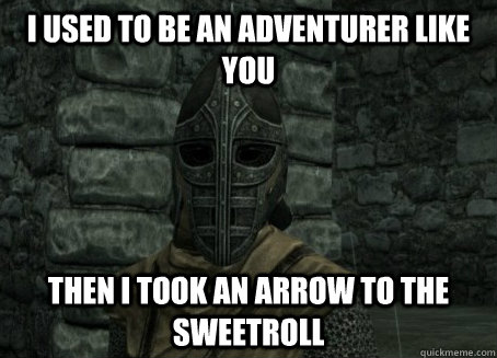 I used to be an adventurer like you then i took an arrow to the sweetroll  