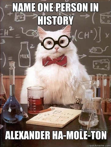 name one person in history Alexander Ha-mole-ton  Chemistry Cat