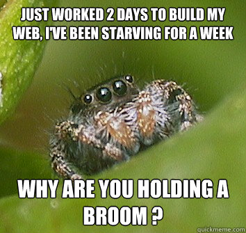 Just worked 2 days to build my web, I've been starving for a week Why are you holding a broom ?  Misunderstood Spider