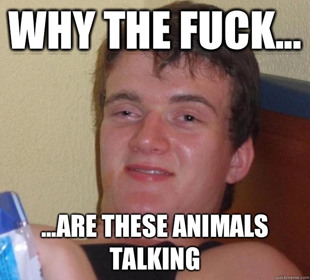 why the fuck... ...are these animals talking  10 Guy