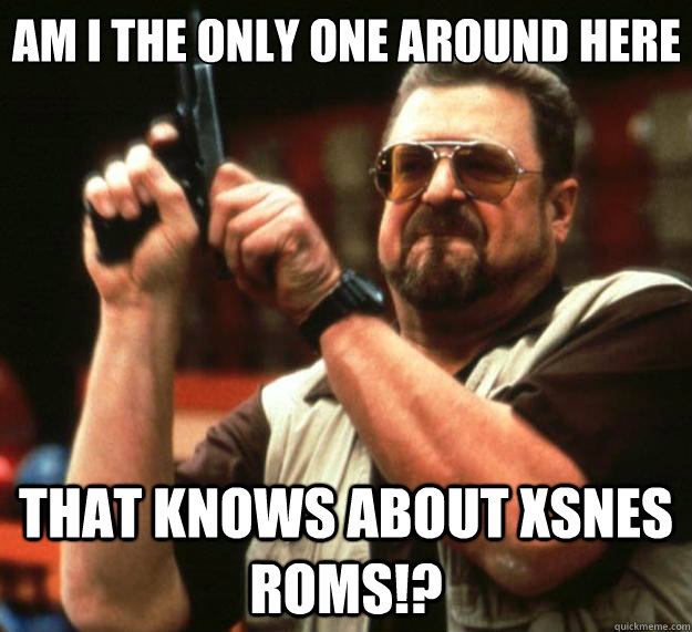 Am I the only one around here that knows about xsnes roms!?  Big Lebowski