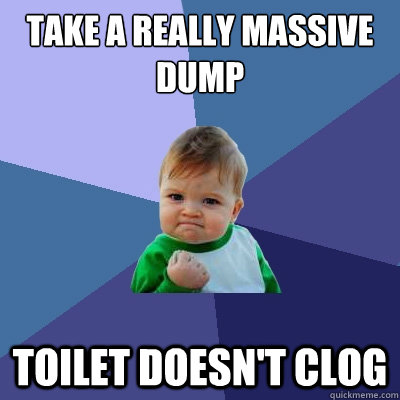 take a really massive dump toilet doesn't clog - take a really massive dump toilet doesn't clog  Success Kid