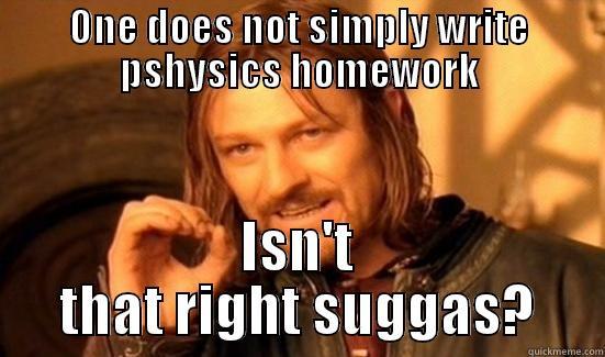 ONE DOES NOT SIMPLY WRITE PSHYSICS HOMEWORK ISN'T THAT RIGHT SUGGAS? Boromir