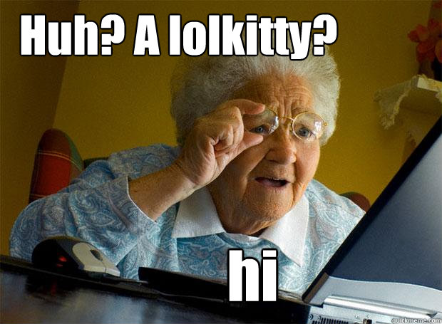 Huh? A lolkitty? hi  Grandma finds the Internet