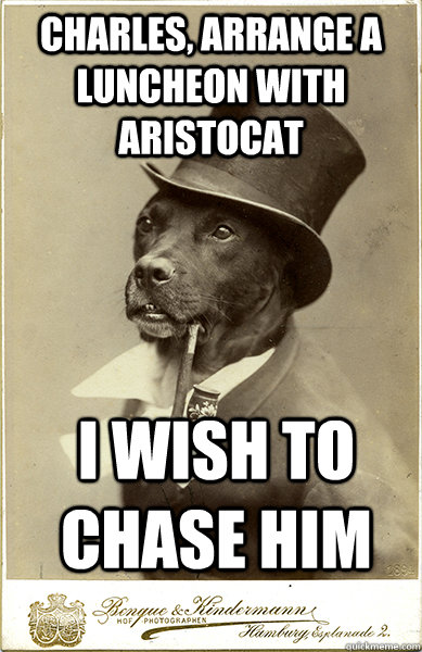 Charles, arrange a luncheon with aristocat i wish to chase him  Old Money Dog