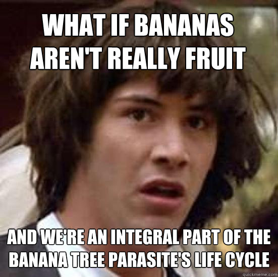 What if bananas aren't really fruit And we're an integral part of the banana tree parasite's life cycle  conspiracy keanu