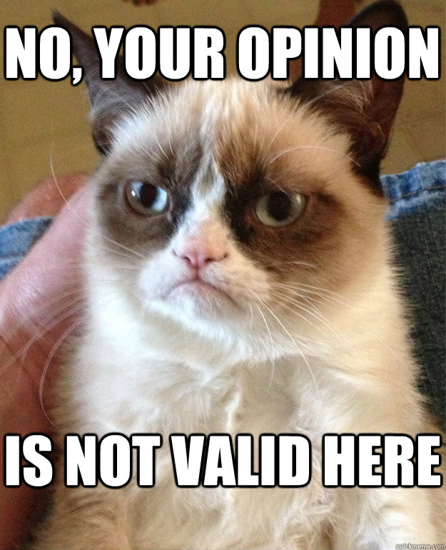 No, your opinion is not valid here  Grumpy Cat