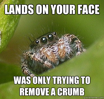 Lands on your face was only trying to remove a crumb  Misunderstood Spider