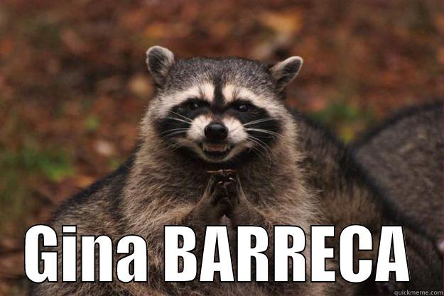  GINA BARRECA Evil Plotting Raccoon