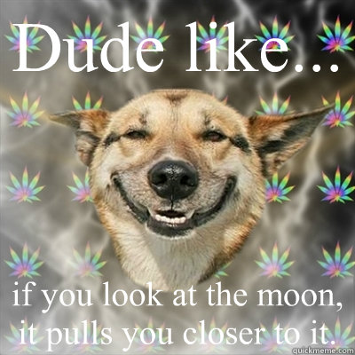 Dude like... if you look at the moon, it pulls you closer to it.  Stoner Dog