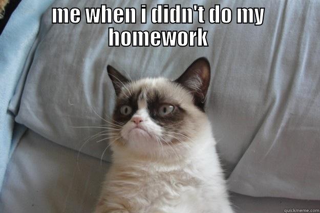 ME WHEN I DIDN'T DO MY HOMEWORK  Grumpy Cat