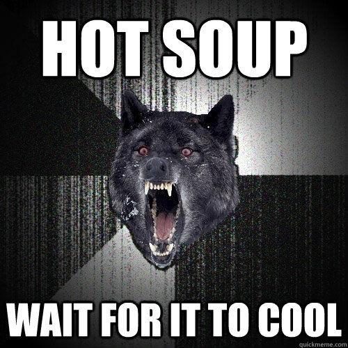 HOT SOUP WAIT FOR IT TO COOL  Insanity Wolf