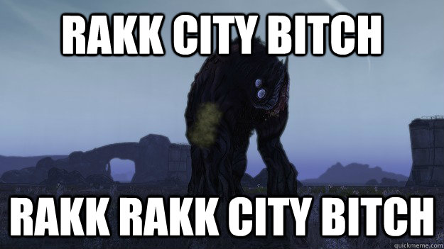 RAKK CITY BITCH RAKK RAKK CITY BITCH  Rakk City Bitch