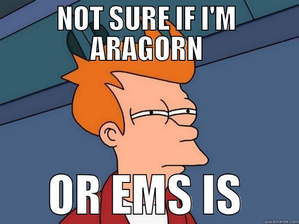 NOT SURE IF I'M ARAGORN OR EMS IS Futurama Fry