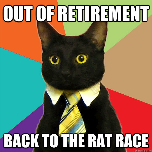 OUT OF RETIREMENT  BACK TO THE RAT RACE  Business Cat