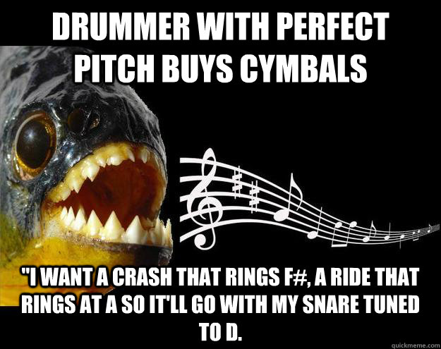 Drummer with perfect pitch buys cymbals 