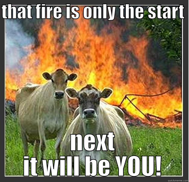 BURN BABY BURN!!! - THAT FIRE IS ONLY THE START  NEXT IT WILL BE YOU! Evil cows