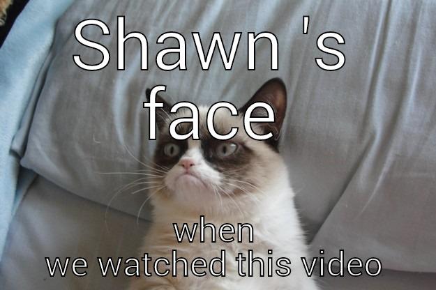 SHAWN 'S FACE WHEN WE WATCHED THIS VIDEO Grumpy Cat