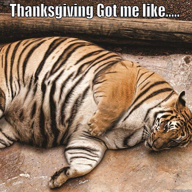 THANKSGIVING GOT ME LIKE.....  Misc