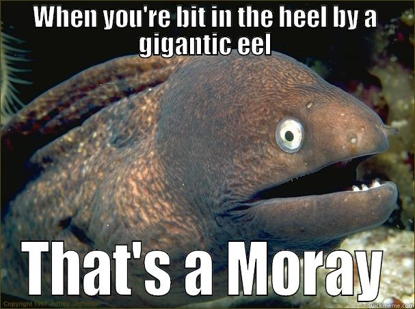 WHEN YOU'RE BIT IN THE HEEL BY A GIGANTIC EEL THAT'S A MORAY Bad Joke Eel