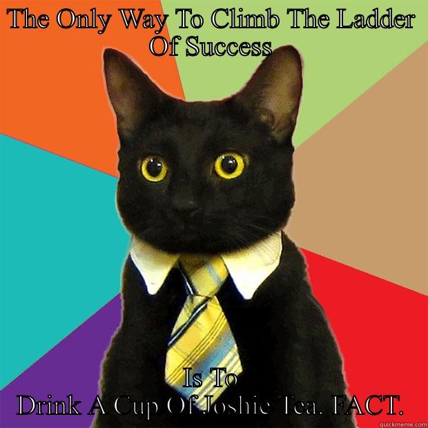 THE ONLY WAY TO CLIMB THE LADDER OF SUCCESS IS TO DRINK A CUP OF JOSHIE TEA. FACT. Business Cat