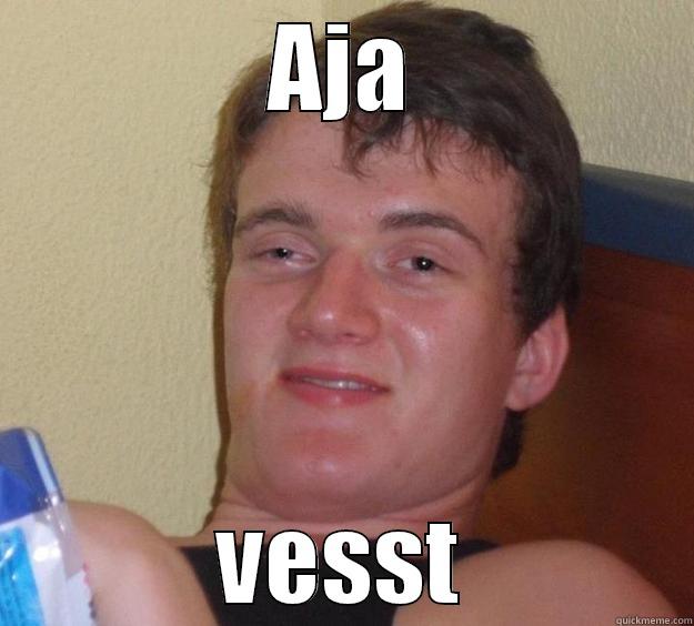 AJA VESST 10 Guy